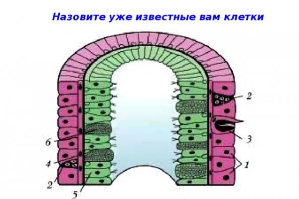 Кракен сайт ссылка тор браузере