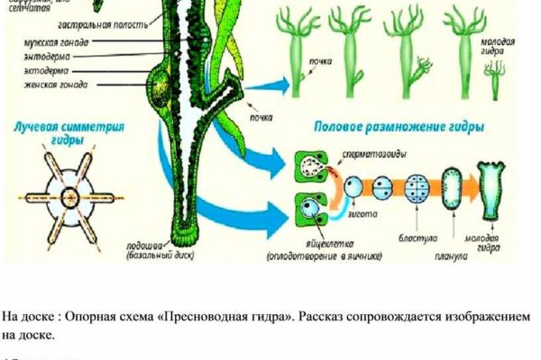 Найти ссылку на кракен