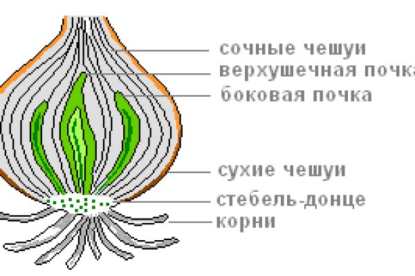 Кракен сайт биз